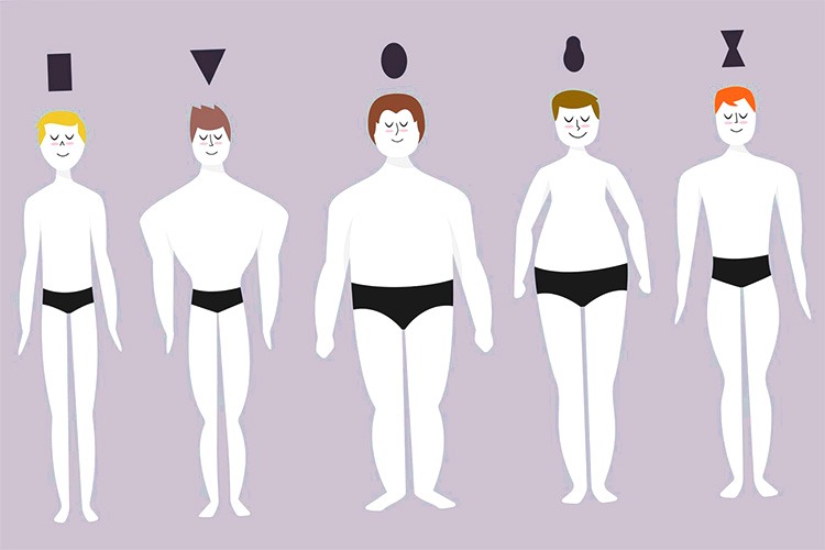 An animated picture of 5 versions on body proportions