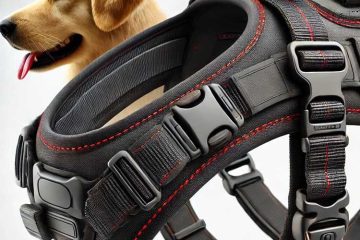 A close-up photo of the process on how to measure for dog harness